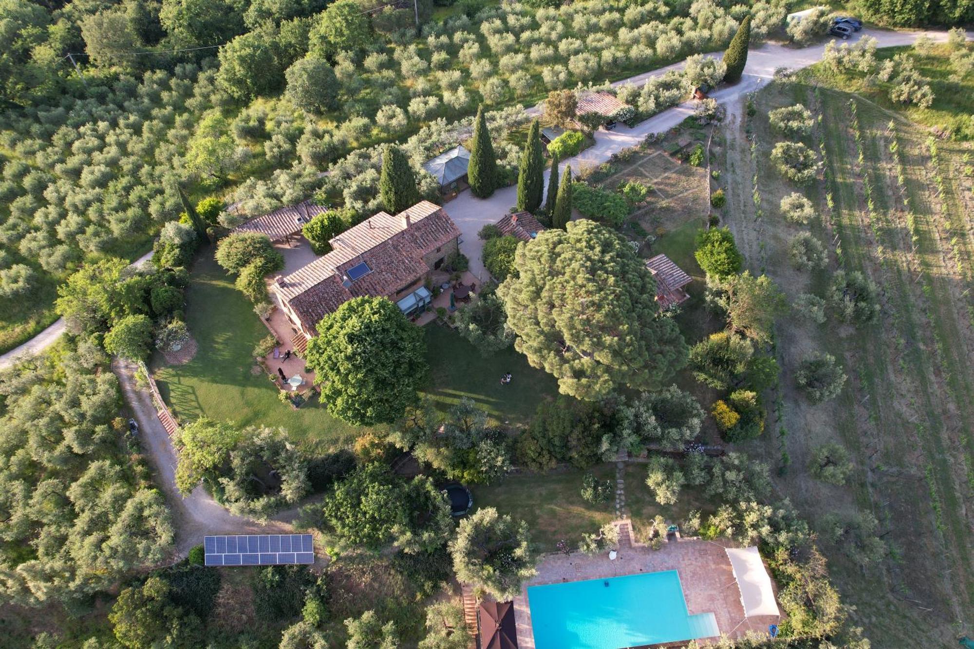 Fontanaro Farm And Culinary School Villa Paciano Buitenkant foto